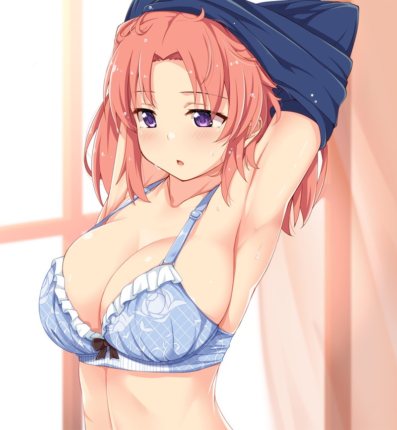 【二次】ドスケベ腋の下のエロ画像 Part１３