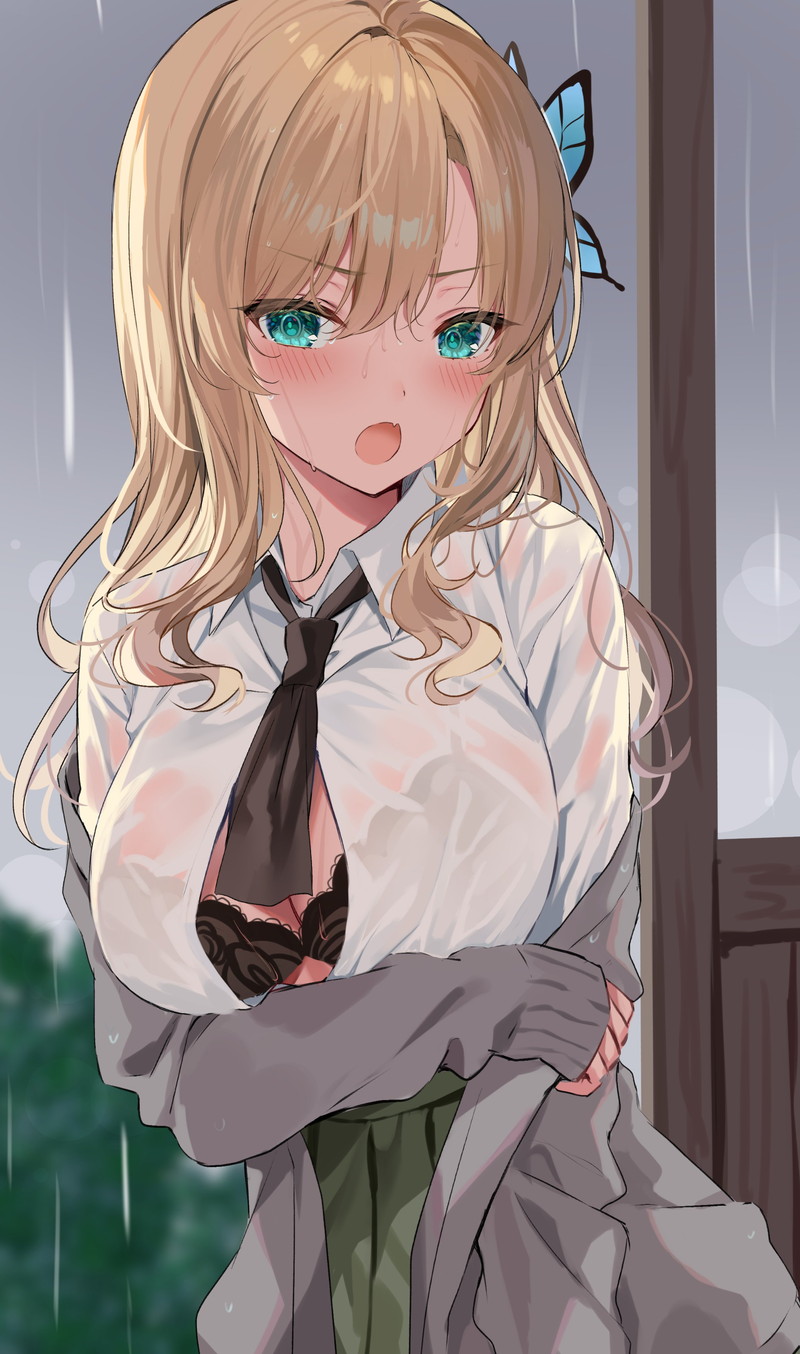 【二次】濡れ透けやスケスケな服を着た女の子のエロ画像 Part１２