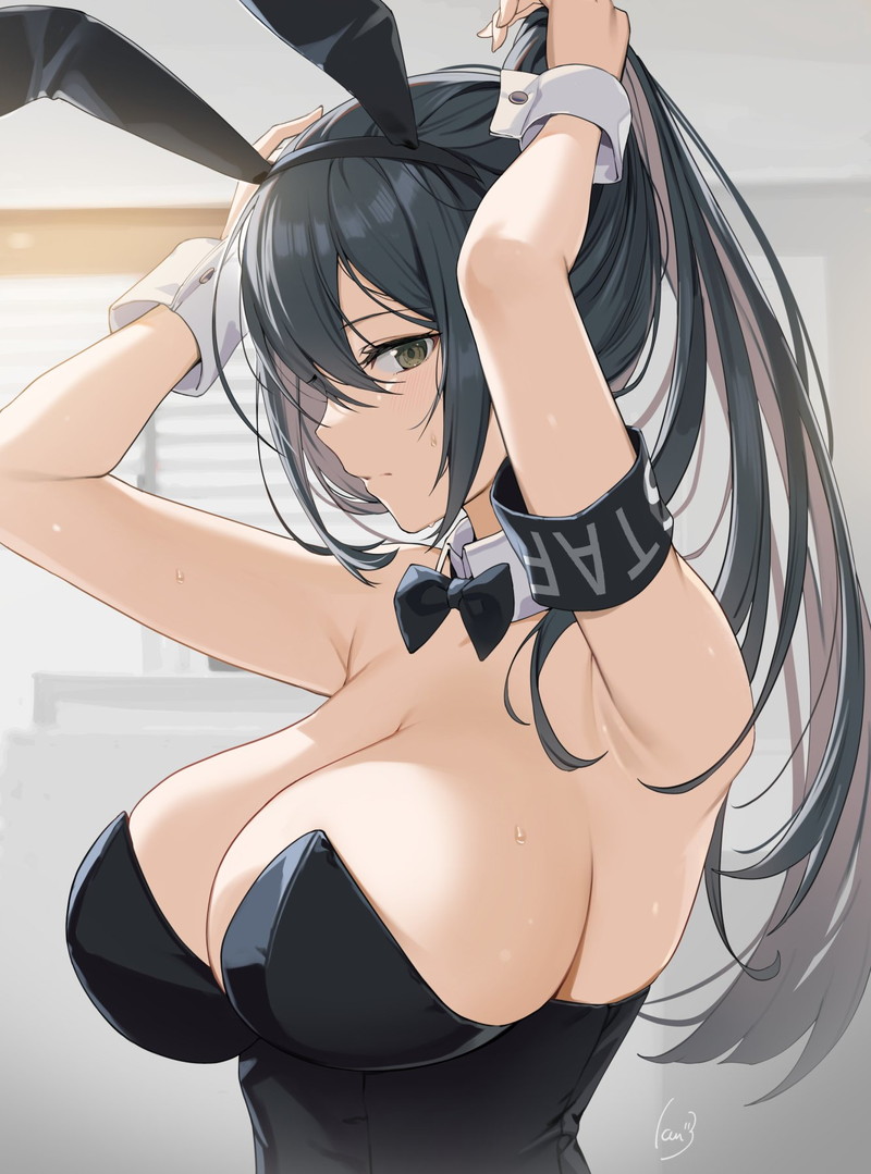 【二次】バニーガールの格好の女の子のエロ画像まとめ Part１６