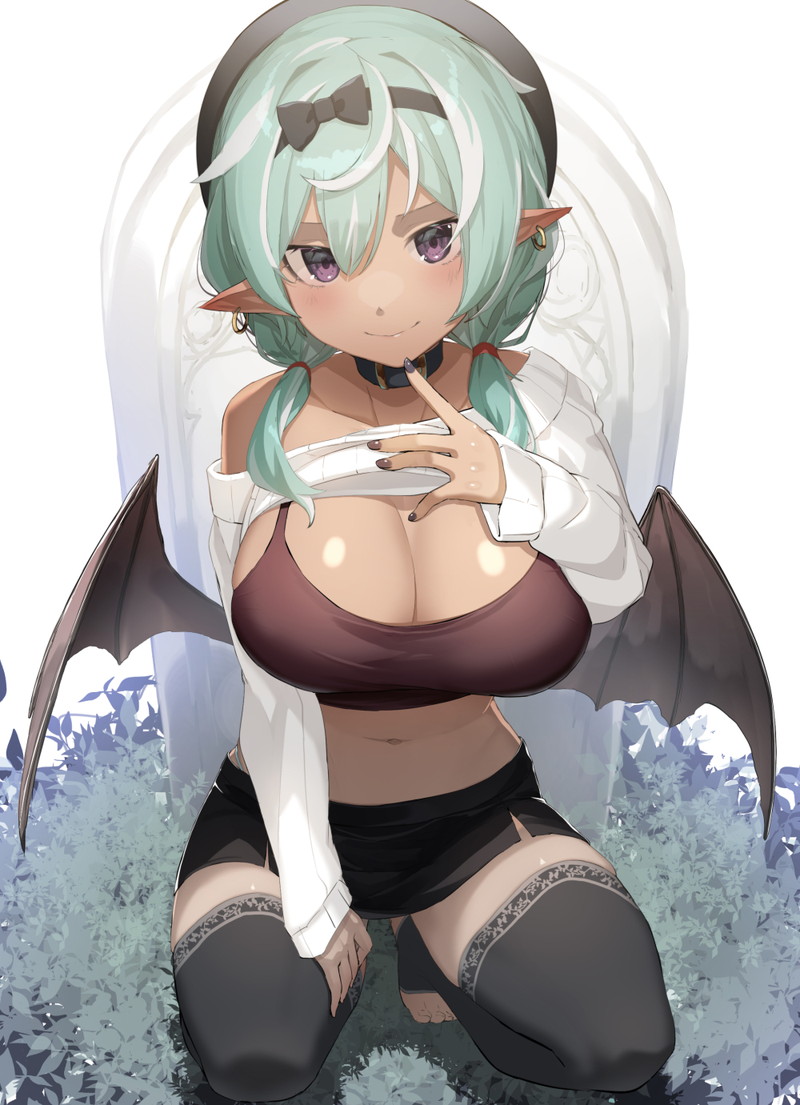 【二次】サキュバスや悪魔系のエロ画像まとめ Part１