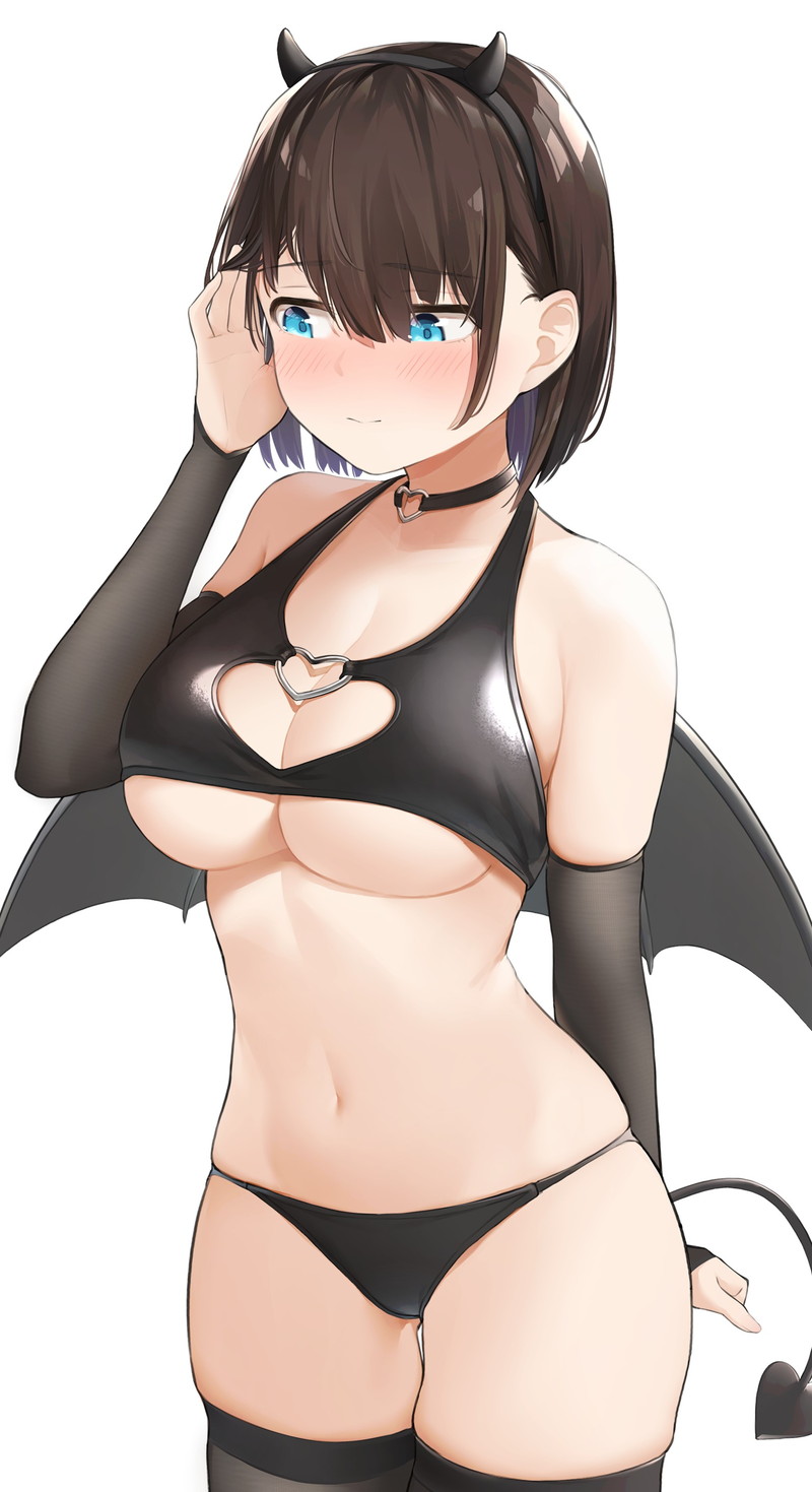【二次】サキュバスや悪魔系のエロ画像まとめ Part１