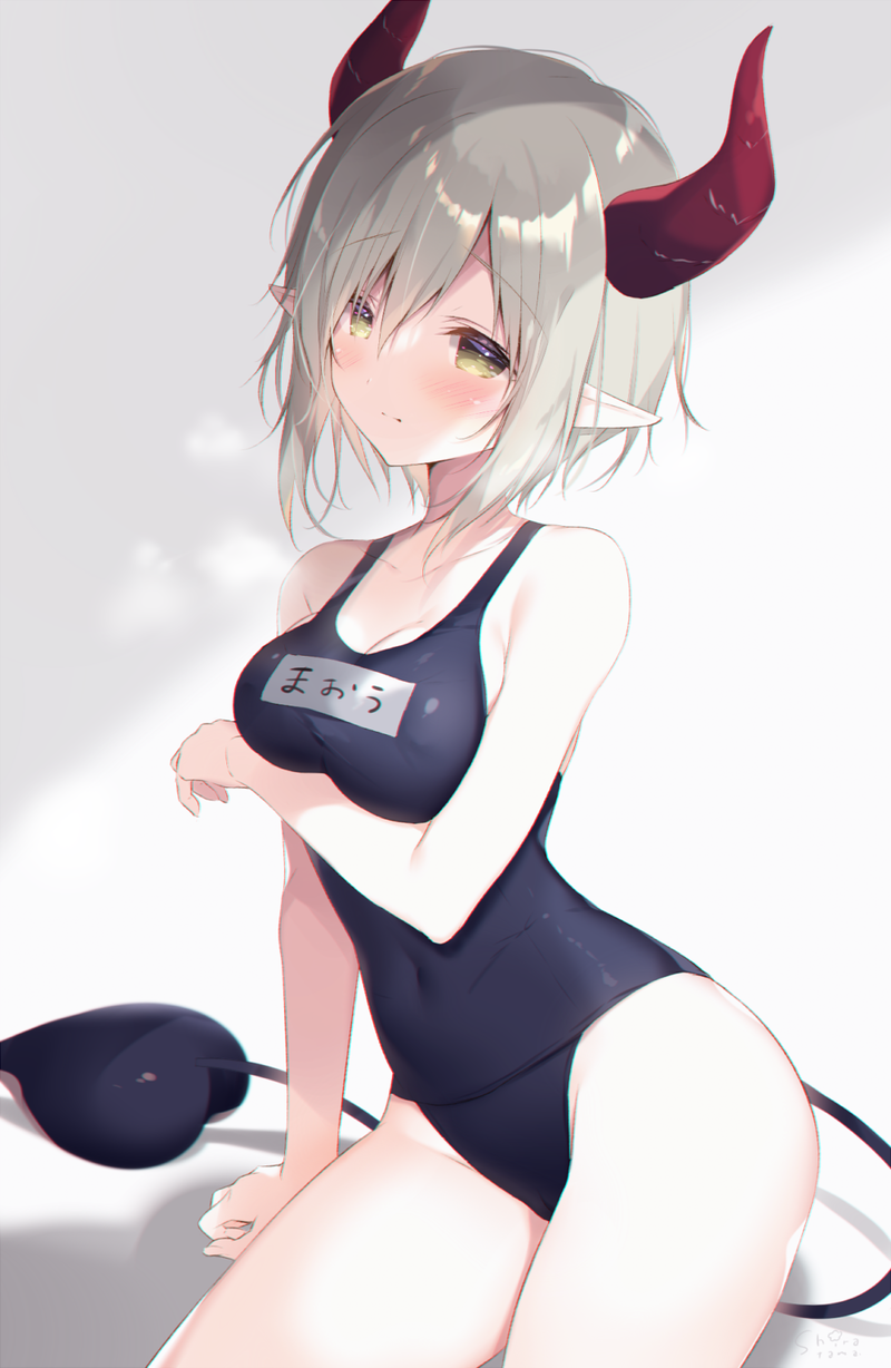 【二次】サキュバスや悪魔系のエロ画像まとめ Part１