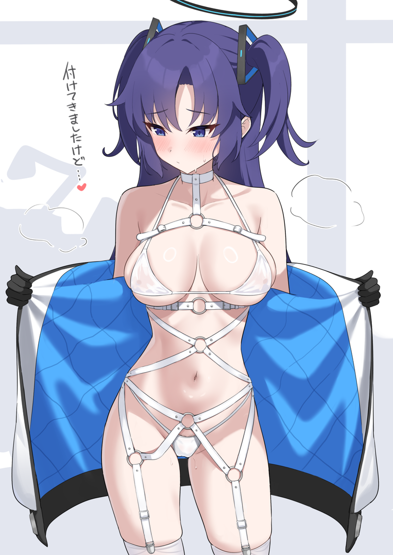 【二次】エロ衣装、スケベな服を着た女の子のエロ画像 Part６５